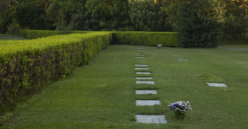 Parcelas Clásica Memorial