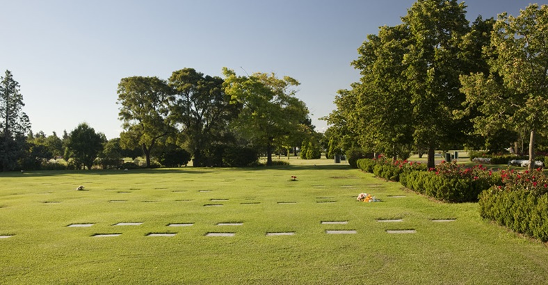 Parcela Standard Memorial