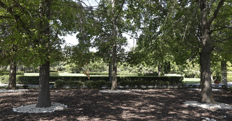 Espacio Cenizas Ecológico Memorial